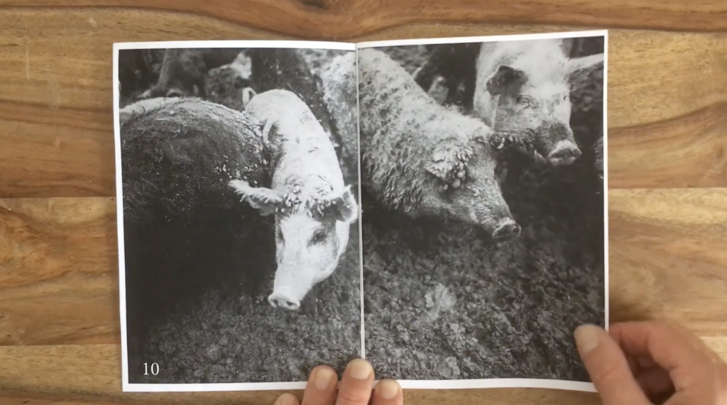 [MÜRMÜR] RECYCLART, BRUXELLES, LE &lsquo;ZINE