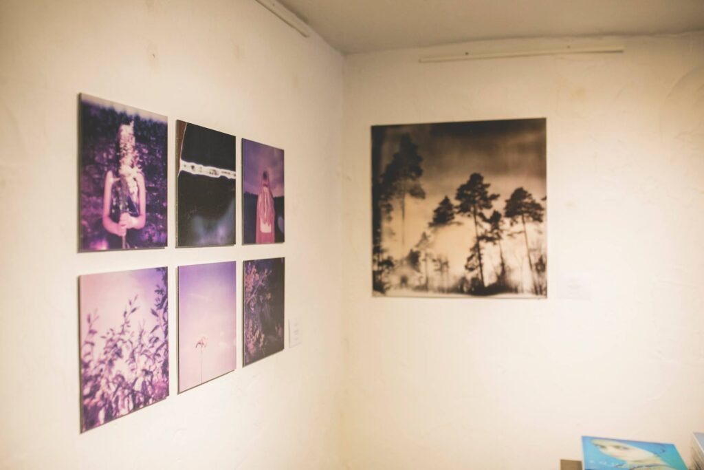 EXPOLAROID BAXTON GALLERY