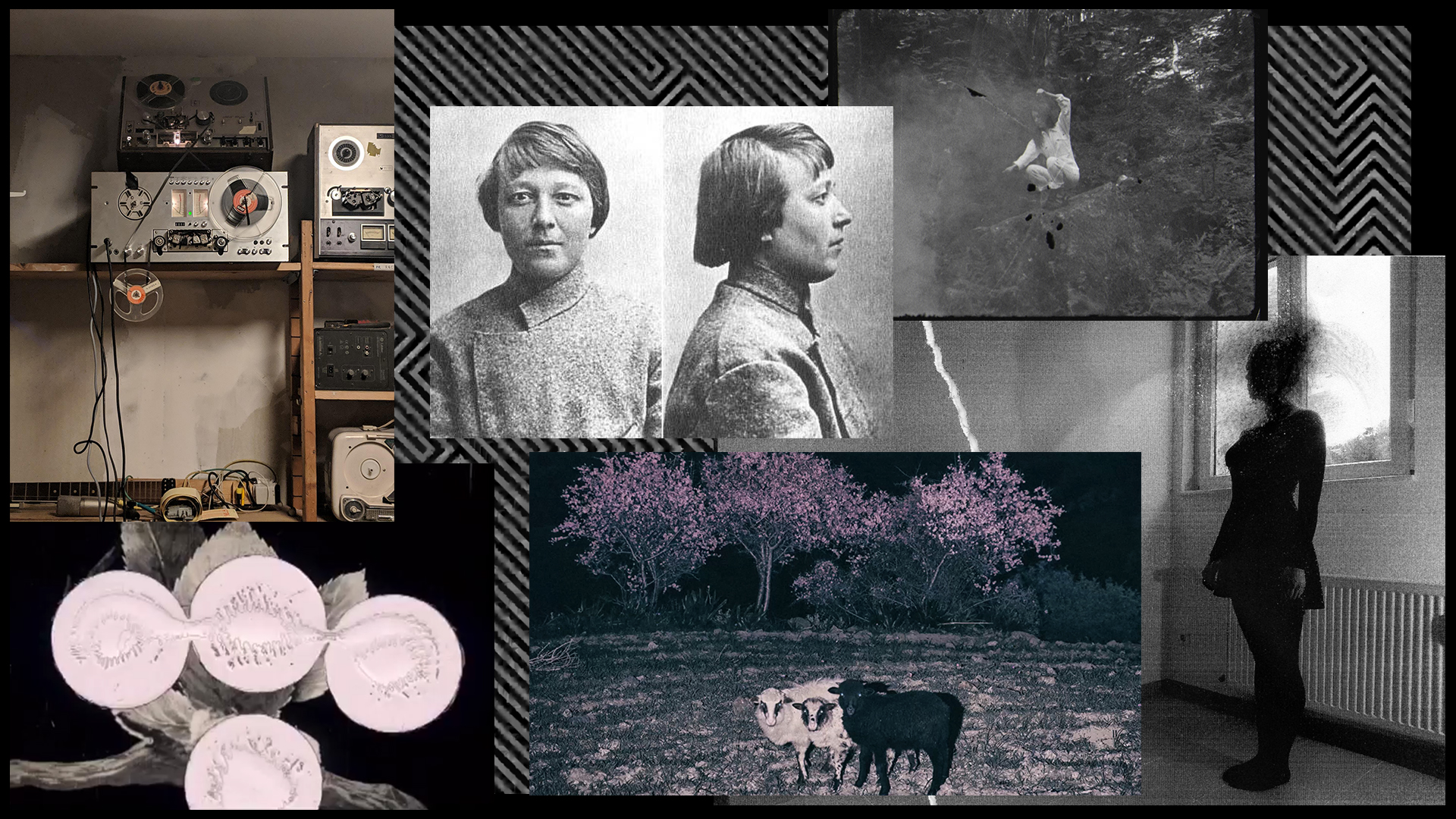 holisme_tvscreen_view