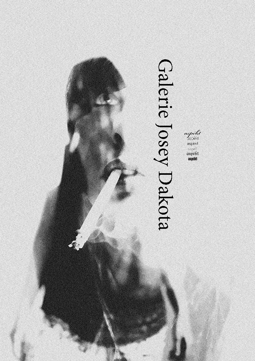 CATALOGUE GALERIE JOSEY DAKOTA — RECYCLART
